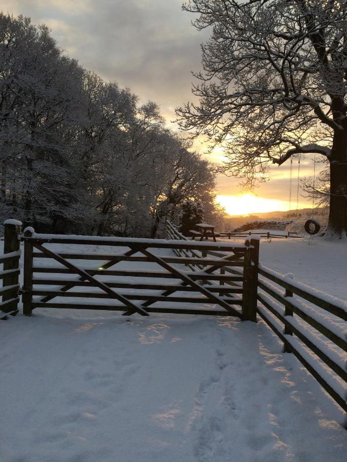 Holmeshead Farm Bed & Breakfast Ambleside Eksteriør bilde