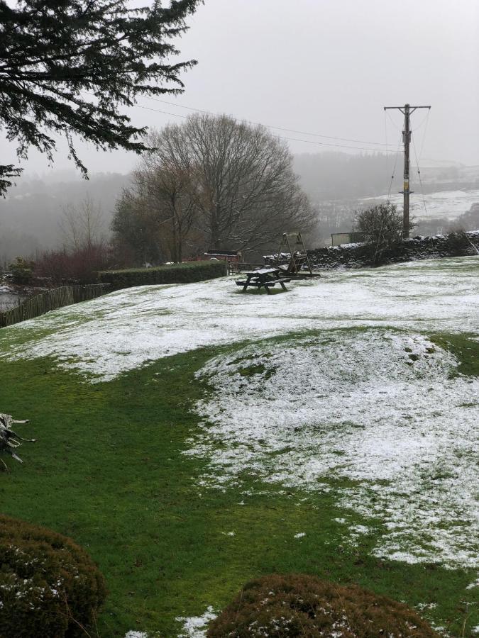 Holmeshead Farm Bed & Breakfast Ambleside Eksteriør bilde